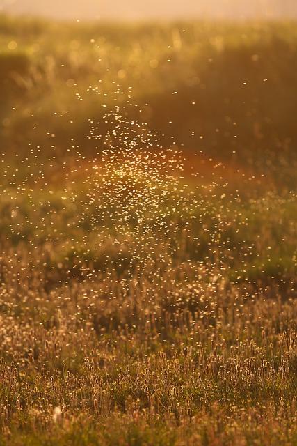 gf887d05c99b7f0d4c563a4344621b791013186c1ed5d5ba209186603c94328cfe3b85bd75fb1a9e929c6ca49ffc2a27e698e8430214bcecd4ab45b905f0eef8b 640